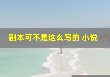 剧本可不是这么写的 小说